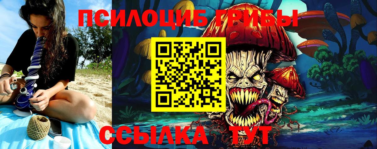 Псилоцибиновые грибы Psilocybe Томск