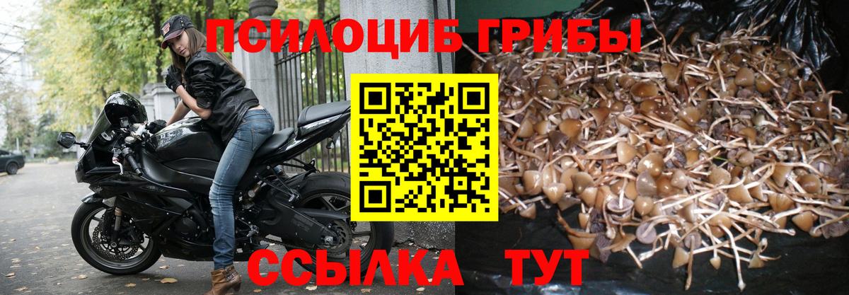 Галлюциногенные грибы мухоморы Томск