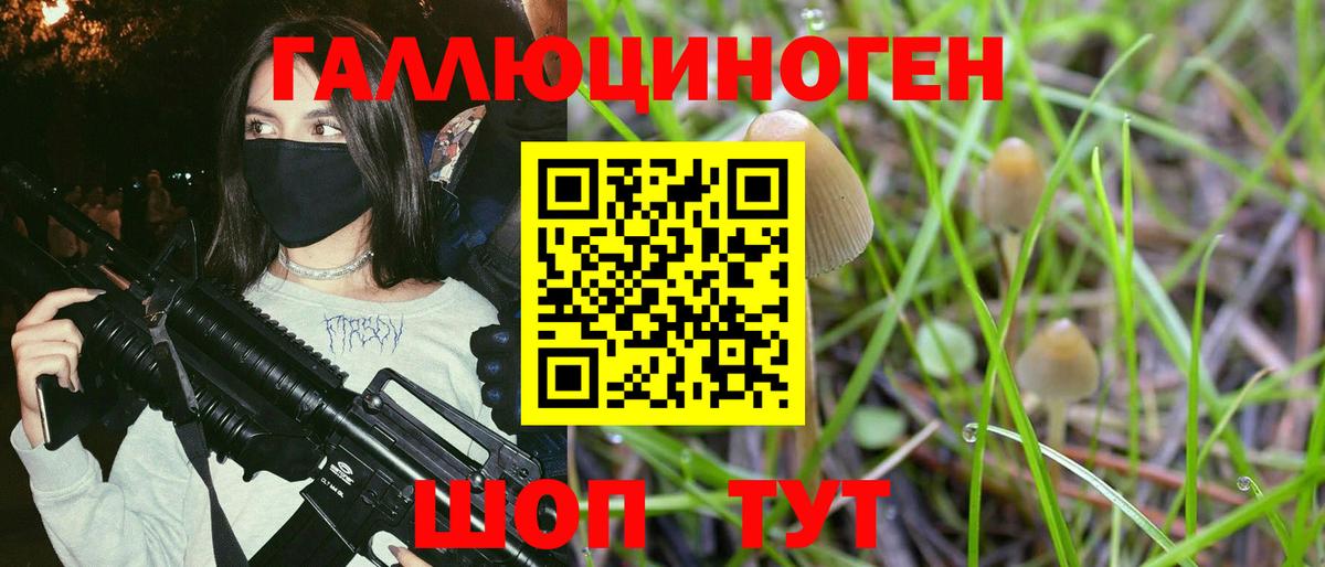 Псилоцибиновые грибы Magic Shrooms  Вход с VPN  Томск 